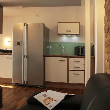 Apartment Penthouse The Zell am See